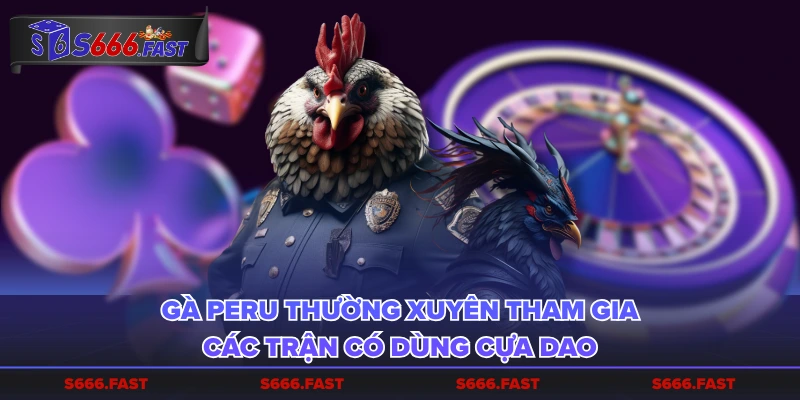 Gà Peru thường xuyên tham gia các trận có dùng cựa dao