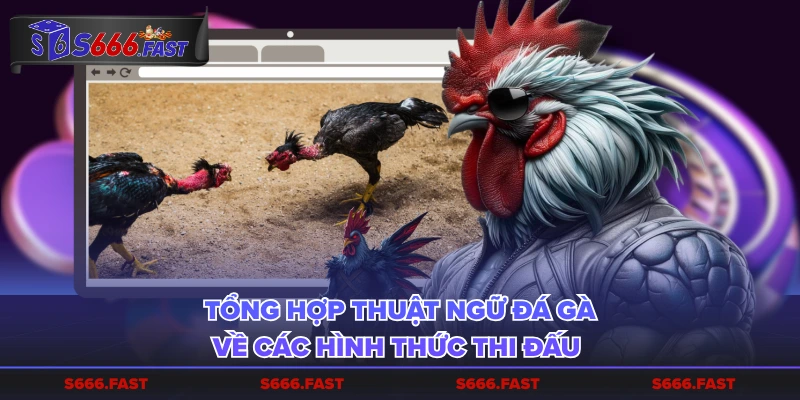 Tổng hợp thuật ngữ đá gà về các hình thức thi đấu
